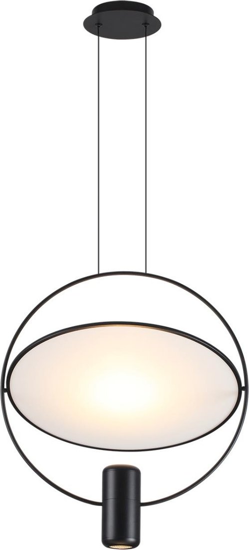 

Подвесная люстра Odeon Light Orbite 7029/2L