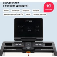 Электрическая беговая дорожка Svensson Body Labs Physioline Sprint Master A