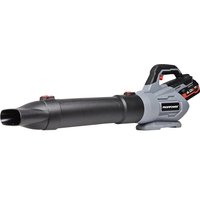 Ручная воздуходувка Profipower MKDUB-18V (с 1-им АКБ)