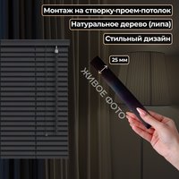 Жалюзи горизонтальные АС МАРТ 25-62 67x150 (черный) в Могилеве