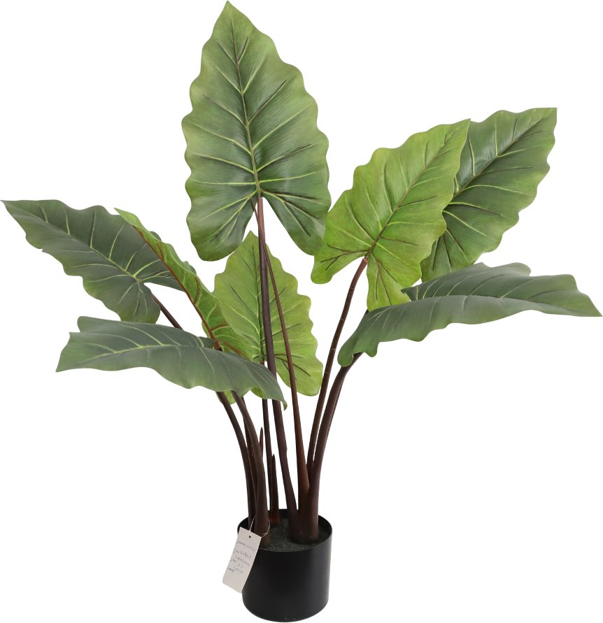 

Искусственное растение Merry Bear Home Decor Алоказия KD4801-80-22