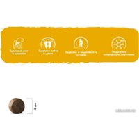 Сухой корм для собак Brit Care Mini Puppy&Junior Healthy Growth с индейкой 1.5 кг в Борисове