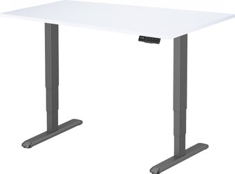 ErgoSmart Unique Ergo Desk 1360x800x36мм (альпийский белый/черный)