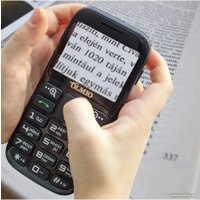 Кнопочный телефон Olmio C37 (черный)