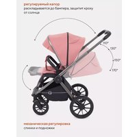 Универсальная коляска Rant Falcon RA097 (2 в 1, розовый)