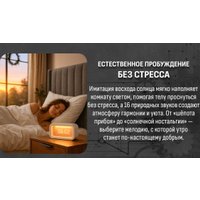 Настольные часы Aresa AR-3752