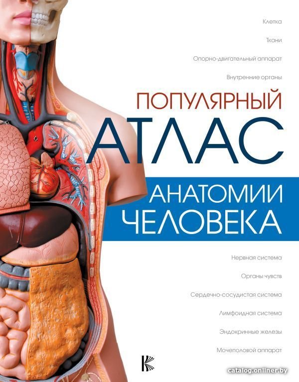 Учебное пособие издательства АСТ. Популярный атлас анатомии человека