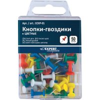 Кнопки канцелярские Expert Complete ECKP-01 (50 шт)