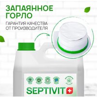 Средство для мытья посуды Septivit Цитрусовый пунш (5 л)