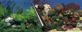 Фон Aqua Della Stone & Coral 80x40 см 241/108857