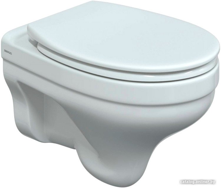 Унитаз подвесной Berges Wasserhaus Albit S Rimless 082046 (без сиденья)