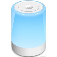 Ночник Evolution T1