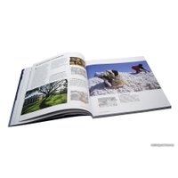  Добрая книга. Дао цифровой фотографии. Искусство создавать удачные фотоснимки (Майкл Фриман)