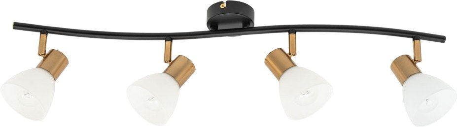 

Спот Arte Lamp Falena A3117PL-4BK