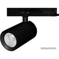 Трековый светильник Arlight LGD-NIKA-4TR-R100-40W Day4000 031178