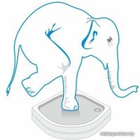 Душевая кабина Domani-Spa Delight 110 High 100x100 (тонированное стекло/черный)