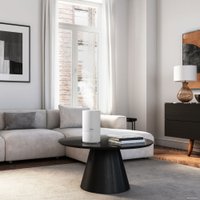 Увлажнитель воздуха Ballu UHB-300W