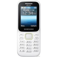 Кнопочный телефон Samsung Guru Music 2 (белый) [B310E]