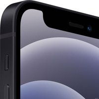 Телефон Apple iPhone 12 mini 256GB (черный)