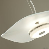 Подвесная люстра Odeon Light L-vision 4856/13L