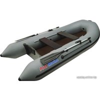 Моторная лодка Prof Marine PM 300 L