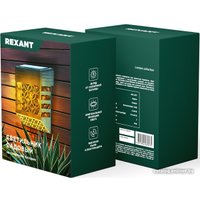 Уличный настенный светильник Rexant Ковэнт 602-2417