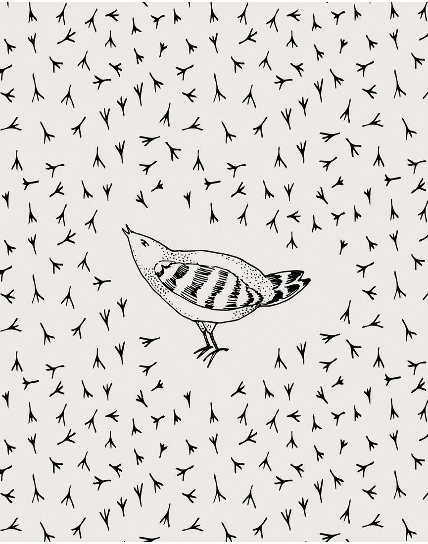 

Декоративная подушка JoyArty Птичка счастья pcu_71691