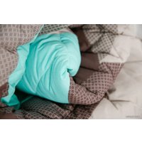 Одеяло Loon Буэно полуторное