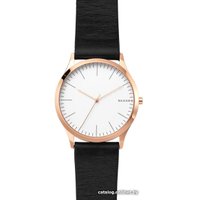 Наручные часы Skagen SKW1102