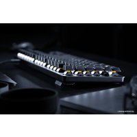 Клавиатура Razer BlackWidow Lite (черный, нет кириллицы)