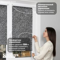 Рулонные шторы Sundays Home LM 97-24 67х160 (темно-серый)