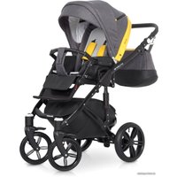 Универсальная коляска Expander Enduro (3 в 1, 06 Magenta)