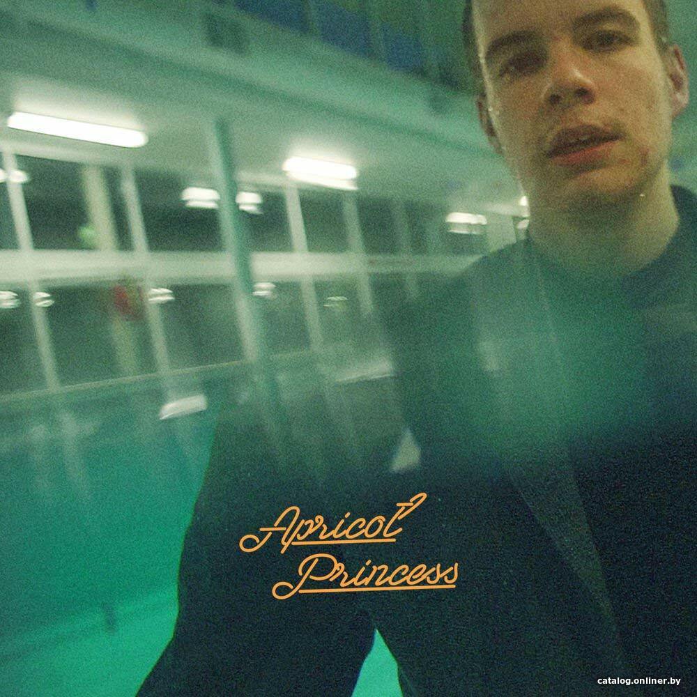 Виниловая пластинка Rex Orange County - Apricot Princess