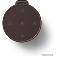 Беспроводная колонка Bang & Olufsen Beosound Explore (коричневый)