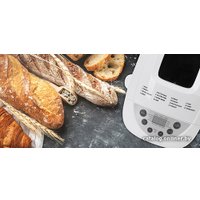 Хлебопечка Adler AD 6019