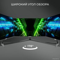 Игровой монитор Hartens HTM24Z165 в Борисове