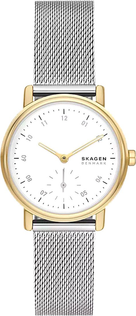 

Наручные часы Skagen SKW3101