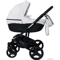 Универсальная коляска Ray Corsa Ecco (2 в 1, 26)