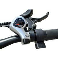 Электровелосипед Smart Balance City 2025 (серый)