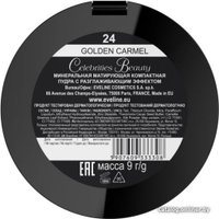 Компактная пудра Eveline Cosmetics Celebrities Beauty минеральная (тон 24)