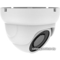 IP-камера Arsenal AR-IP202SDP/42 Starlight