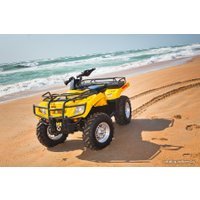 Квадроцикл Stels ATV 400 Hunter