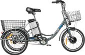 Trike 500 20 (17, графитовый матовый)