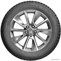 Зимние шины Ikon Nordman 5 205/55R16 94T (шипы)