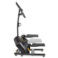 Поперечный степпер VictoryFit VF-E9006