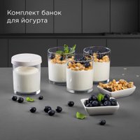 Сушилка для овощей и фруктов Redmond (Редмонд) FD1104