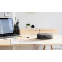 Умная колонка Harman/Kardon Citation Oasis (черный)