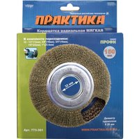Щетка для электроинструмента Практика Профи 773-361