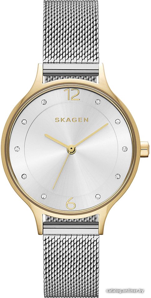 Наручные часы Skagen SKW2340