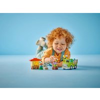 Конструктор LEGO Duplo 10419 Уход за пчелами и ульями